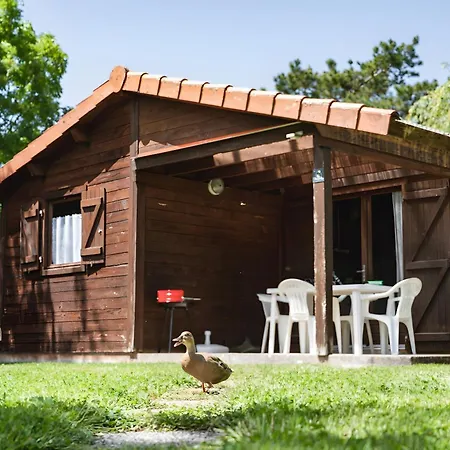 Bois 9 Domaine Les Epinettes *