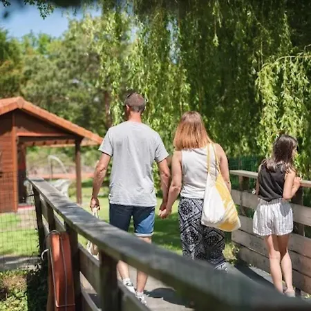 Bois 9 Domaine Les Epinettes Saint-Gervais (Vendee)