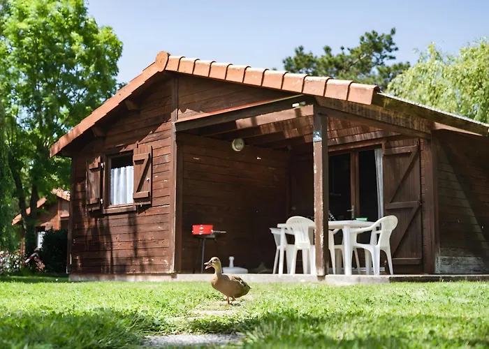 Bois 9 Domaine Les Epinettes *