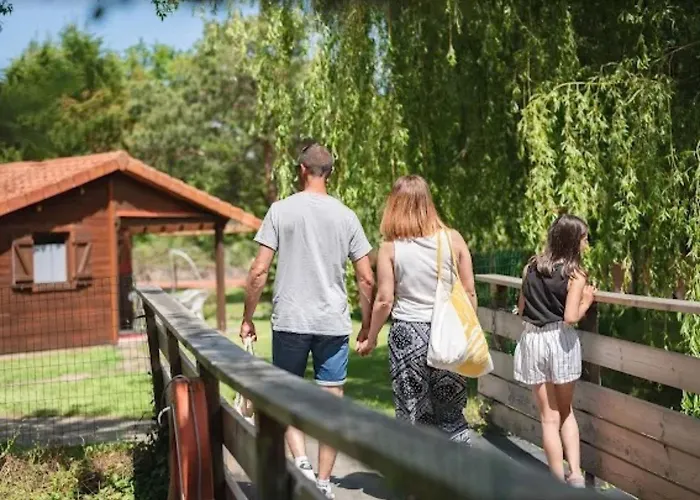 Bois 9 Domaine Les Epinettes Saint-Gervais